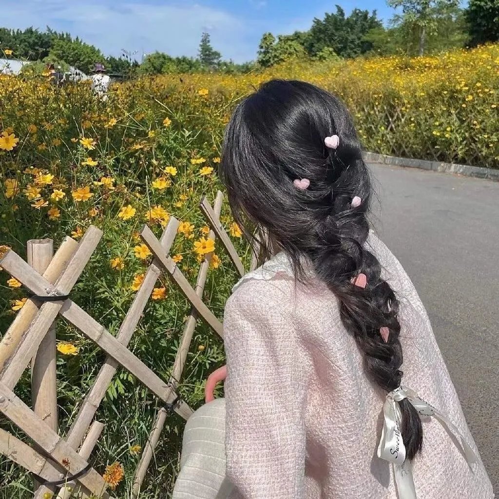 南方与北方