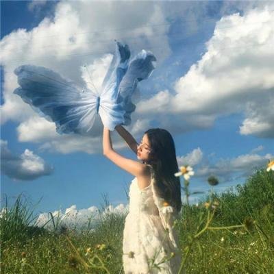 彩虹2025